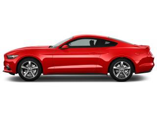 Mustang