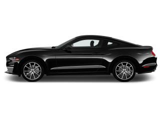 Mustang