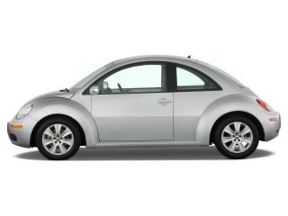 Beetle