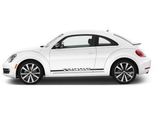 Beetle