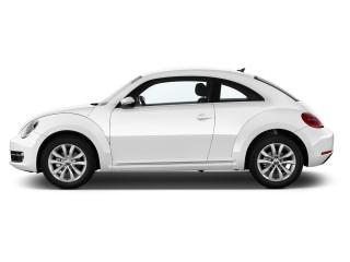 Beetle