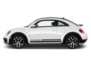 Beetle