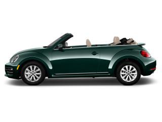 Beetle